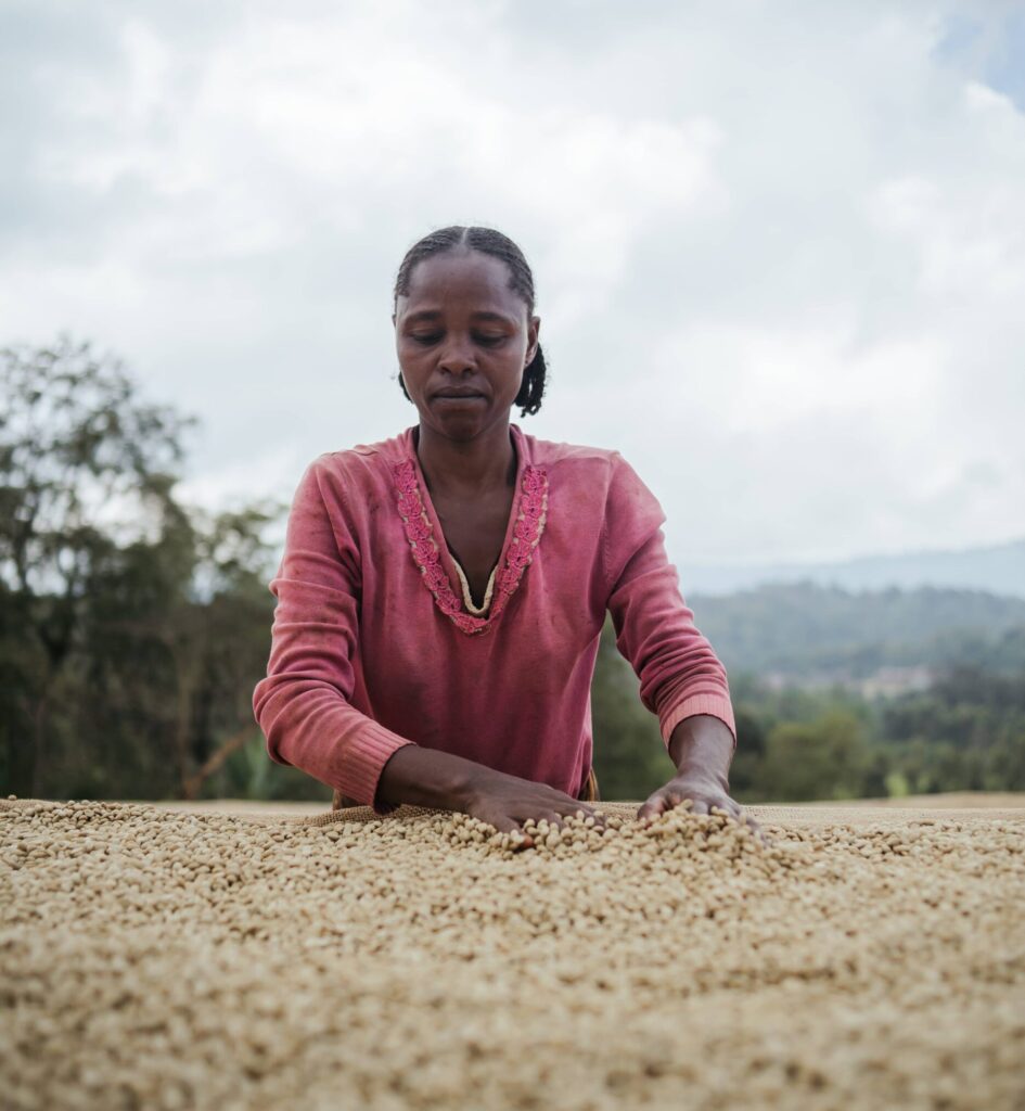Videoproductie Ministerie van Buitelandse Zaken | CineChefs Videoproductiebedrijf